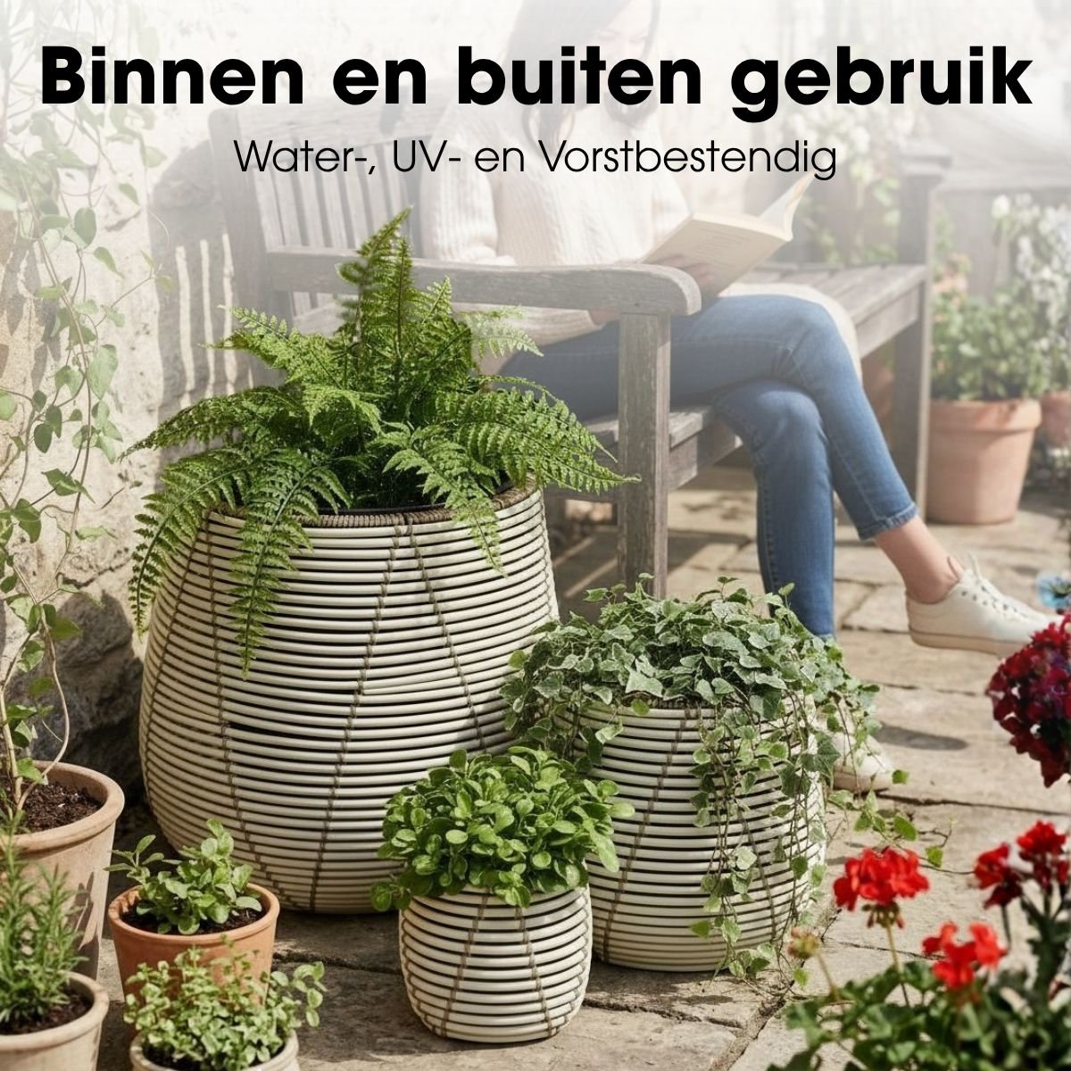 Blumentopf außerhalb von Cancun White