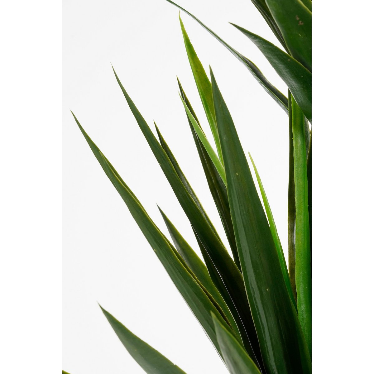 Kunstplant Yucca-Creme