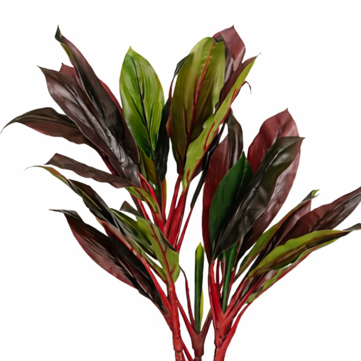 Künstliche Pflanze Cordyline Red