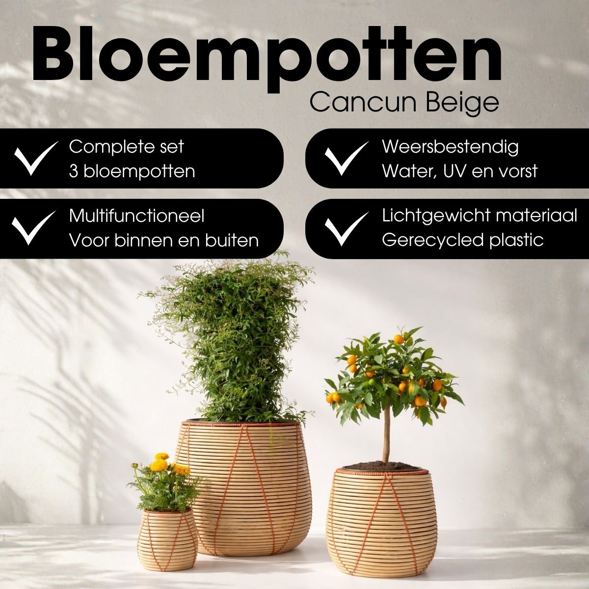 Blumentopf außerhalb von Cancun Beige