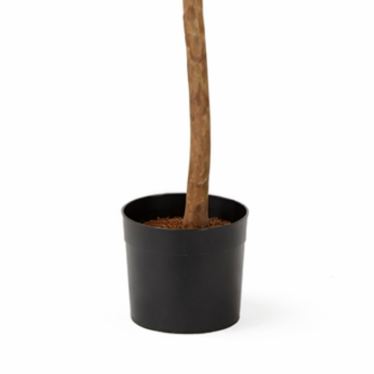 Künstliche Pflanze Ficus Green