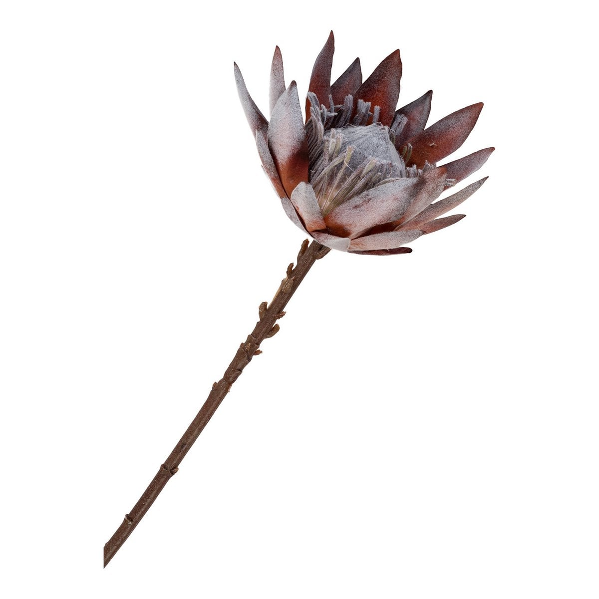 King Protea Bouquet - Künstliche Blumen, Rosenmischung, 74 cm
