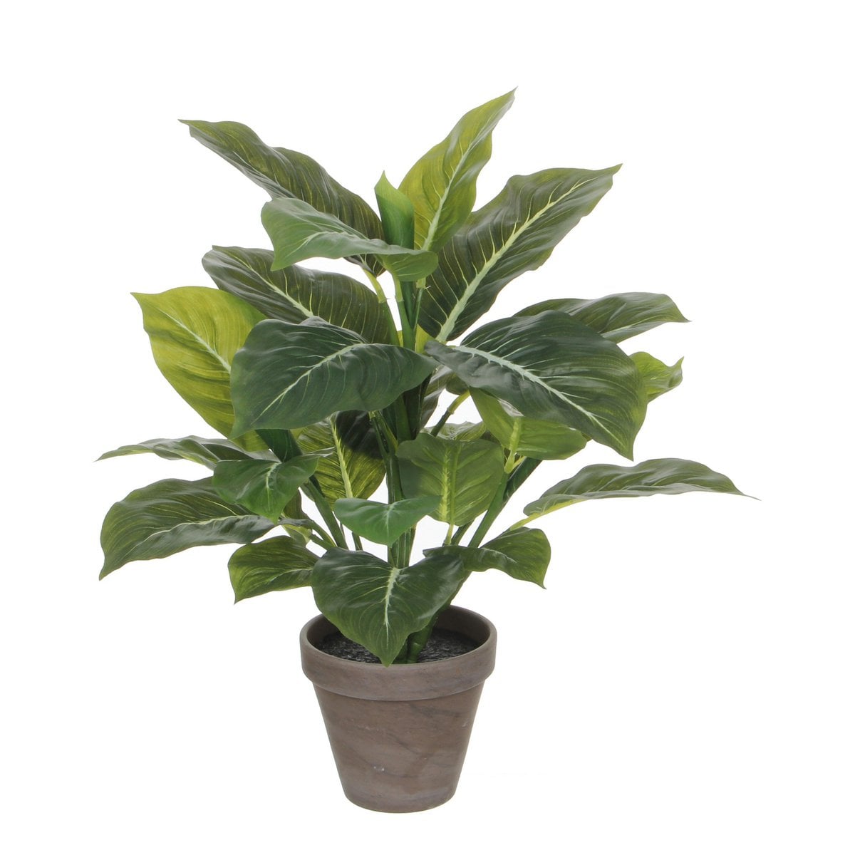 Künstliche Pflanze Evergreen Green