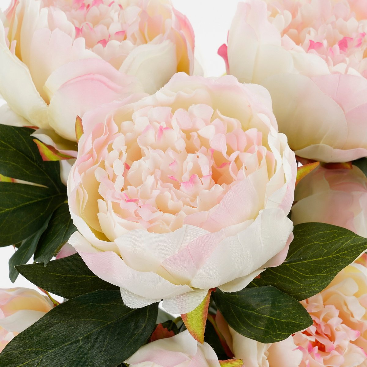 Blumenstrauß aus hellrosa Pfingstrosen