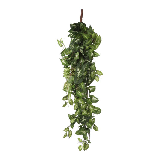 Künstliche Hängepflanze Fittonia Green