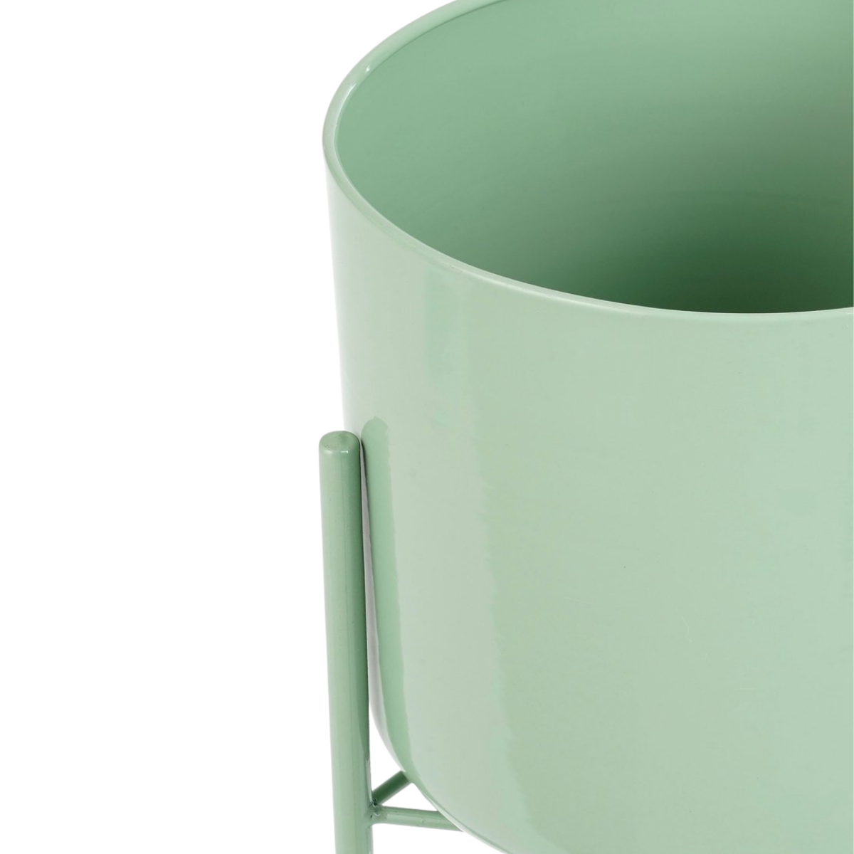 Blumentopf in Colyn Groen