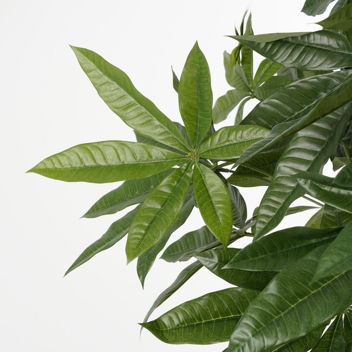 Künstliche Pflanze Pachira Green