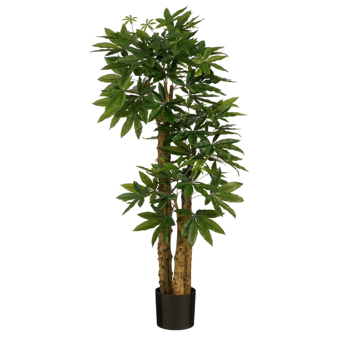 Künstliche Pflanze Pachira Green