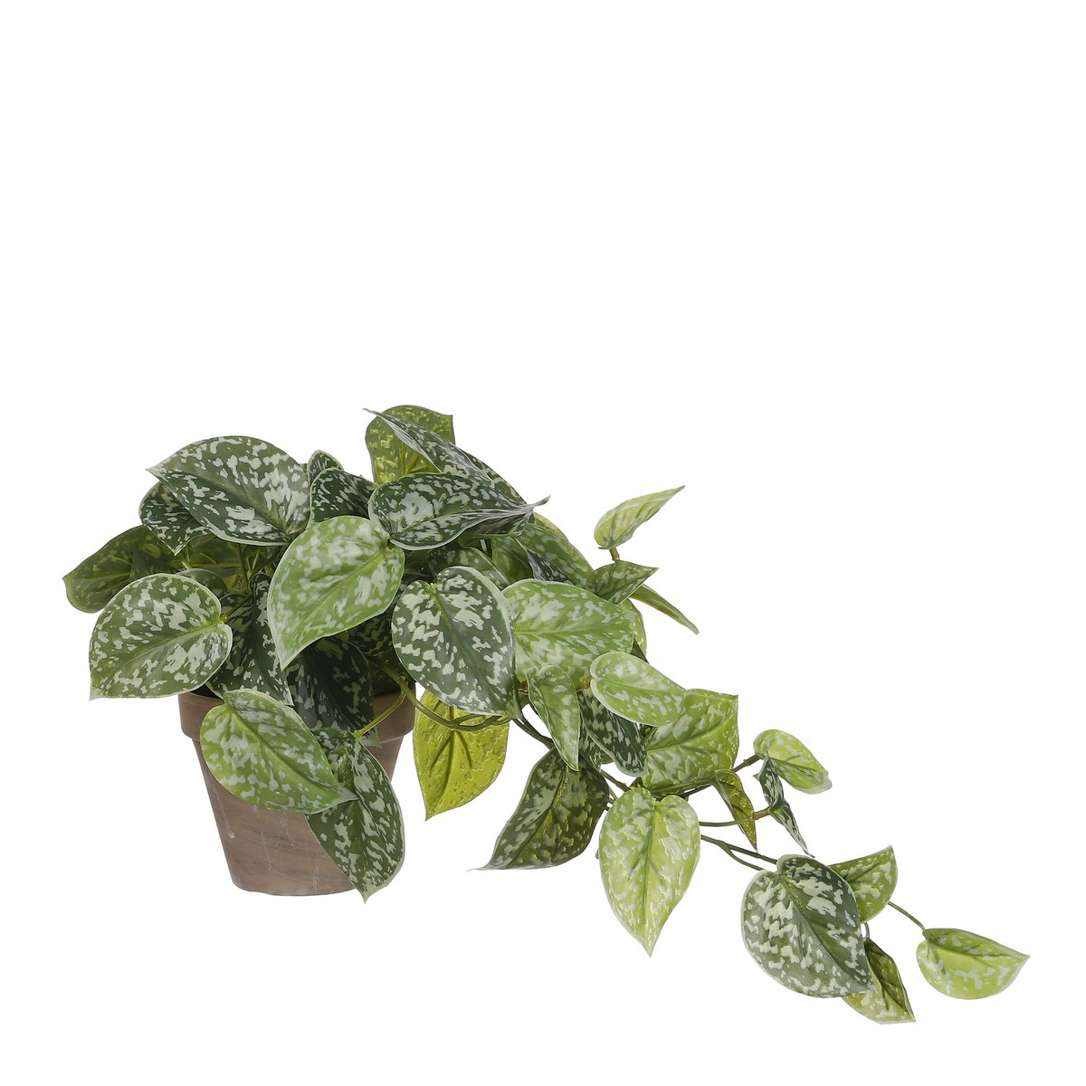 Künstliche Hängepflanze Scindapsus Green