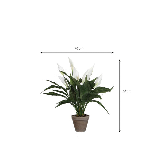 Künstliche Pflanze Spathiphyllum White