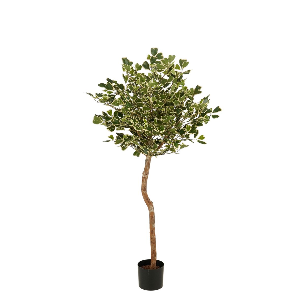 Künstliche Pflanze Ficus Green