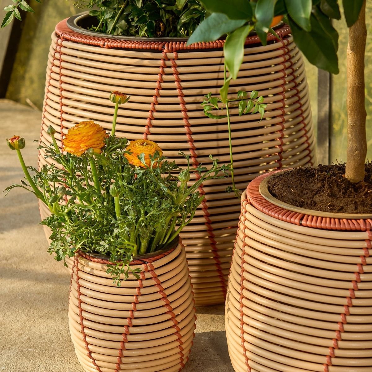Blumentopf außerhalb von Cancun Beige