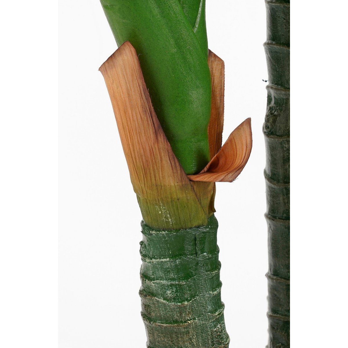 Künstliche Pflanze Dieffenbachia Green