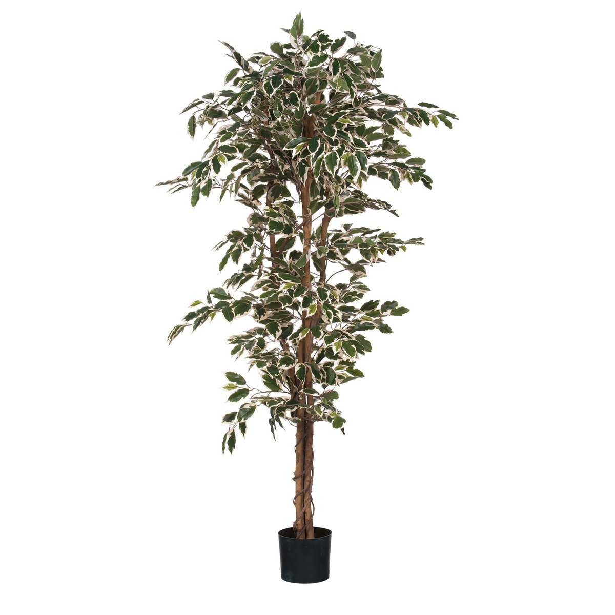 Künstliche Pflanze Ficus Green