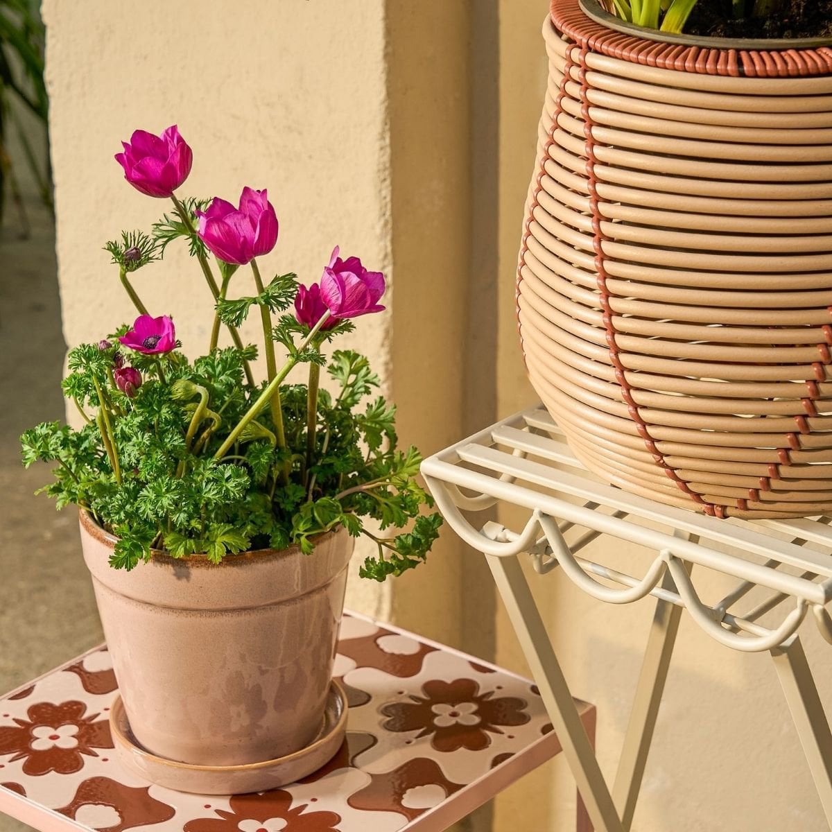 Pflanzenständer draußen Rosalie Offwhite