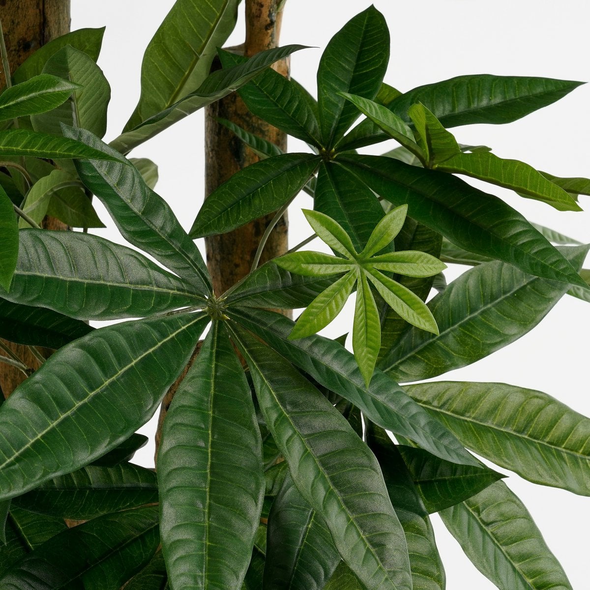 Künstliche Pflanze Pachira Green