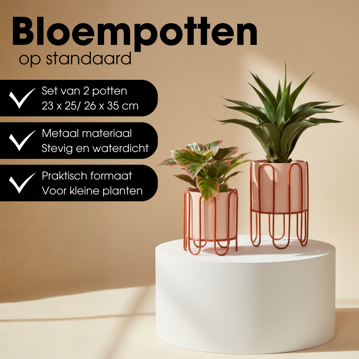Blumentopf in Dione Pink