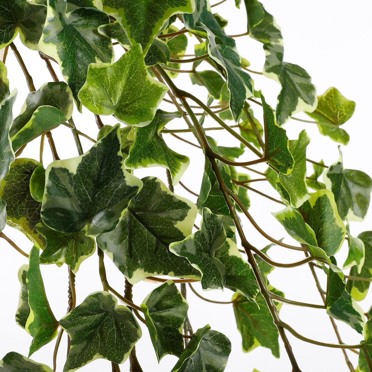 Künstliche Hängepflanze Ivy Green