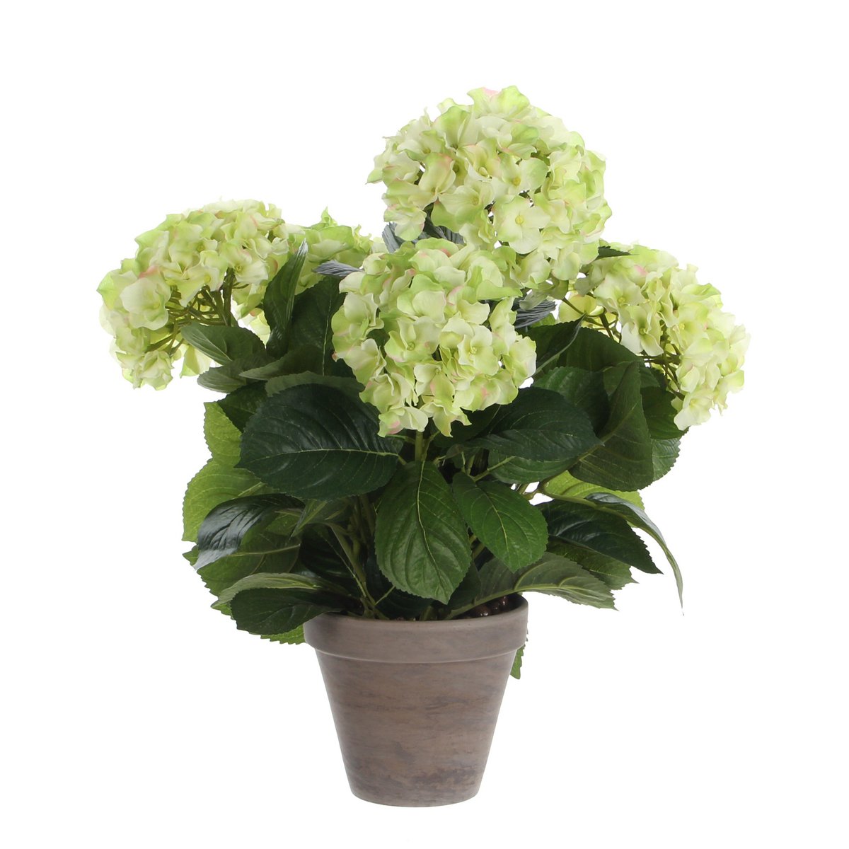 Kunstpflanze Hyddongea Creme
