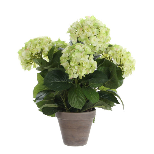 Kunstpflanze Hyddongea Creme