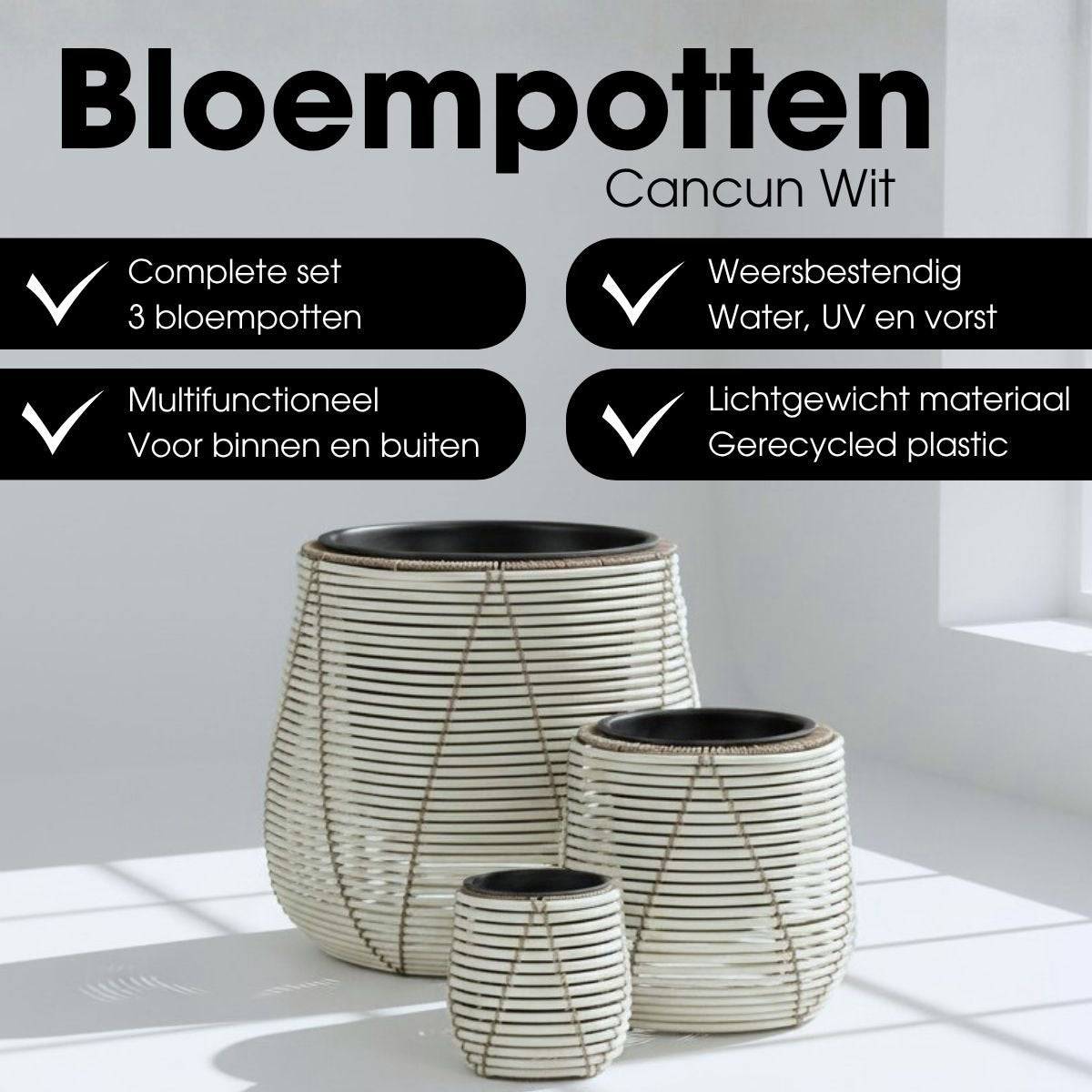 Blumentopf außerhalb von Cancun White