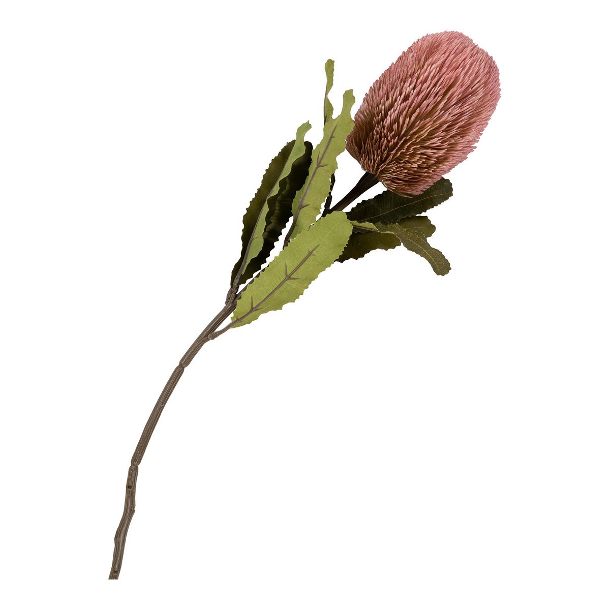 King Protea Bouquet - Künstliche Blumen, Rosenmischung, 74 cm