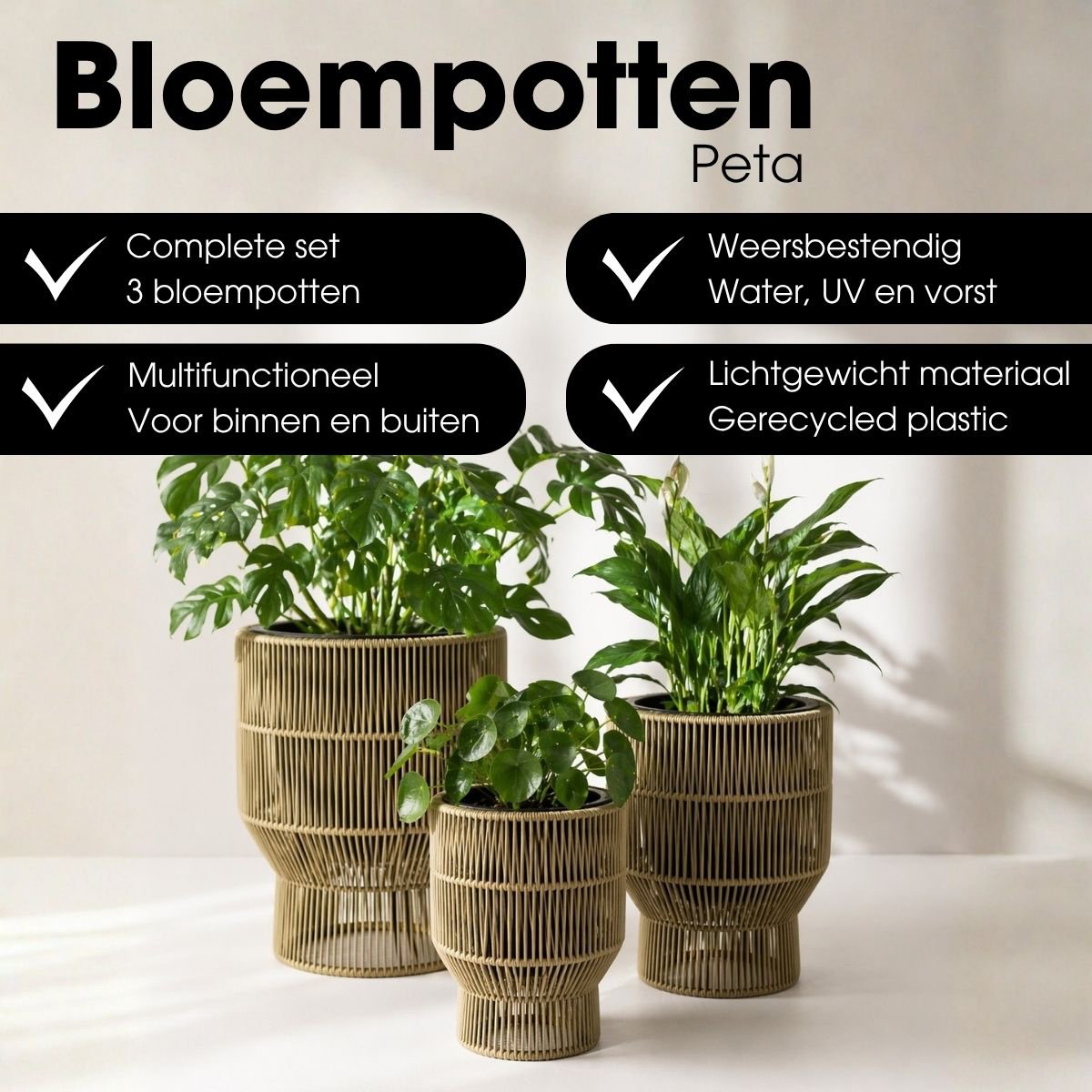 Blumentopf außerhalb von Peta Green