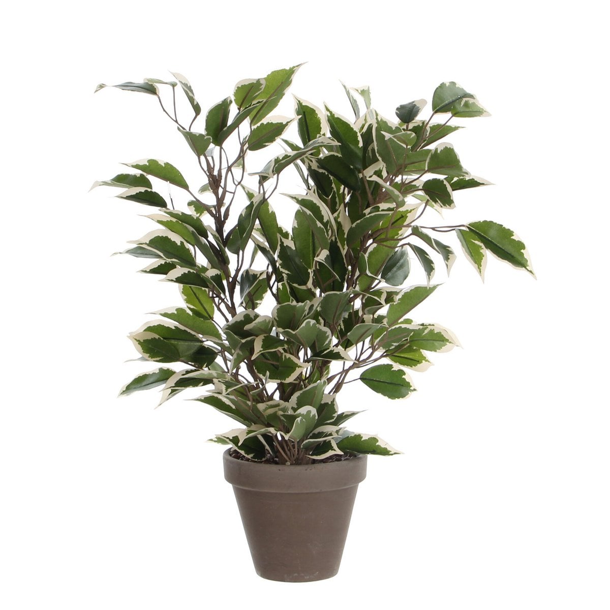 Künstliche Pflanze Ficus natasja Green