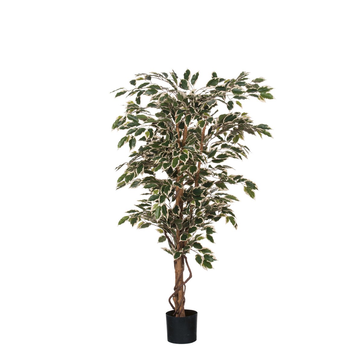 Künstliche Pflanze Ficus Green