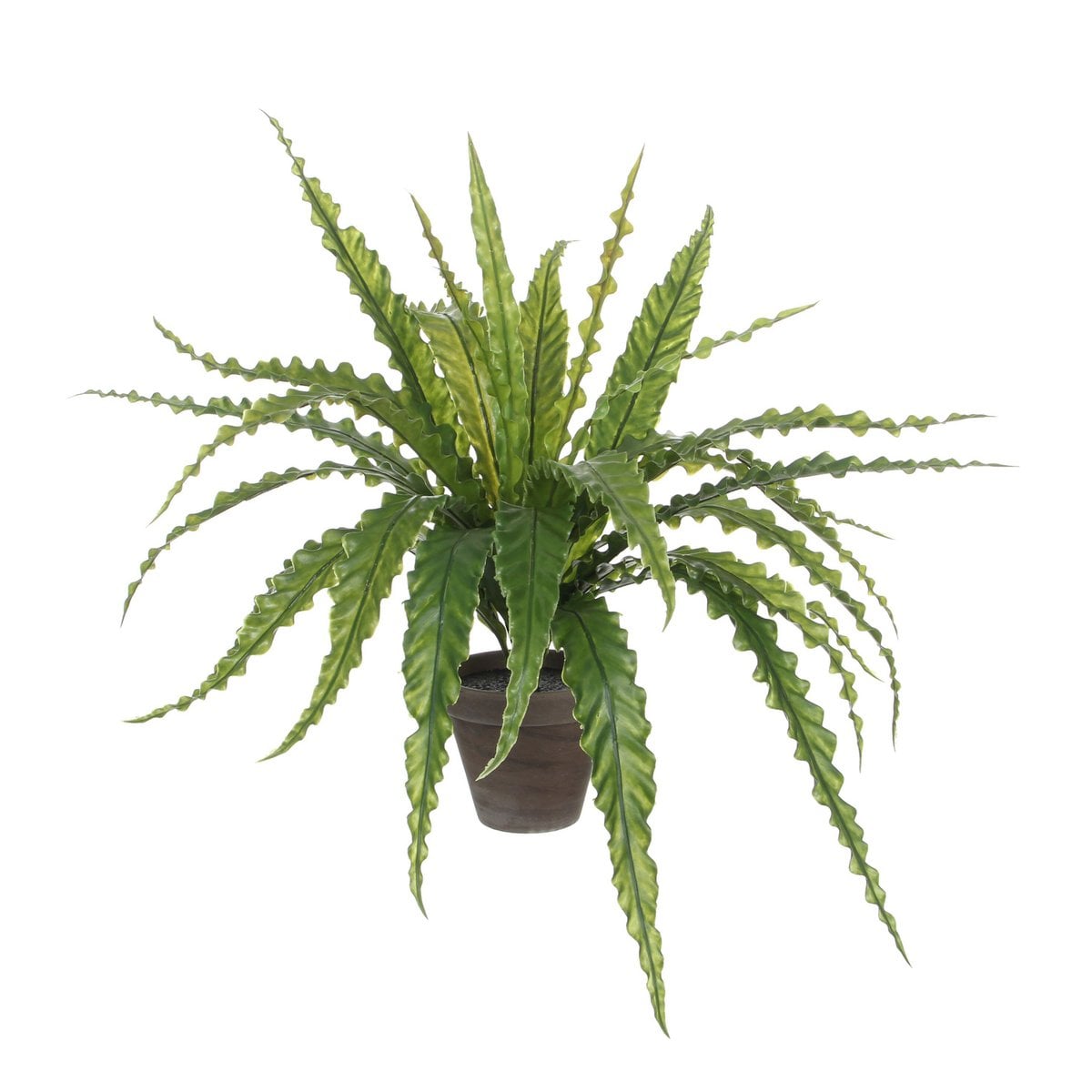 Künstliche Pflanze Asplenium Green