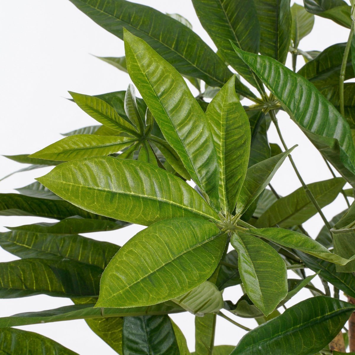 Künstliche Pflanze Pachira Green