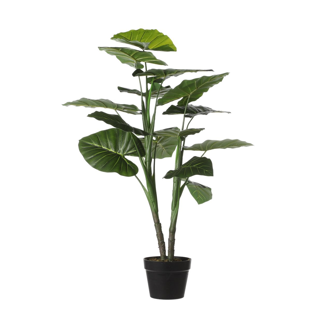 Künstliche Pflanze Taro Green