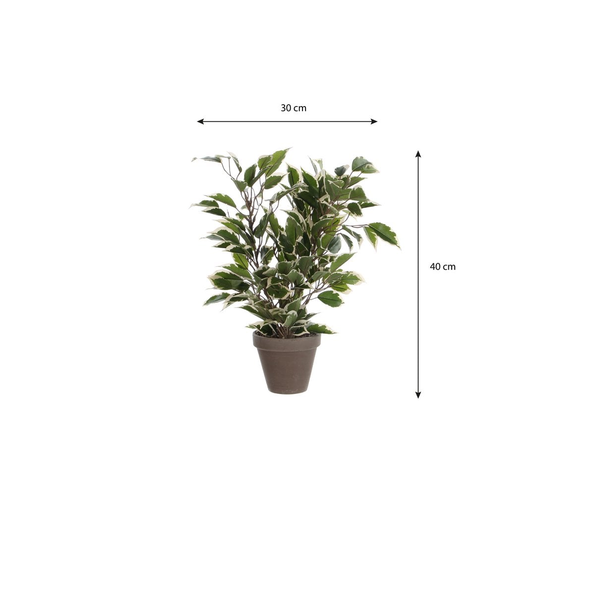 Künstliche Pflanze Ficus natasja Green