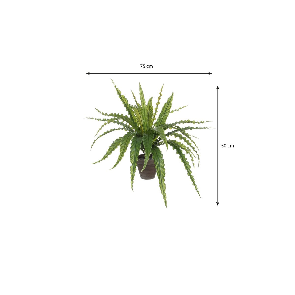 Künstliche Pflanze Asplenium Green