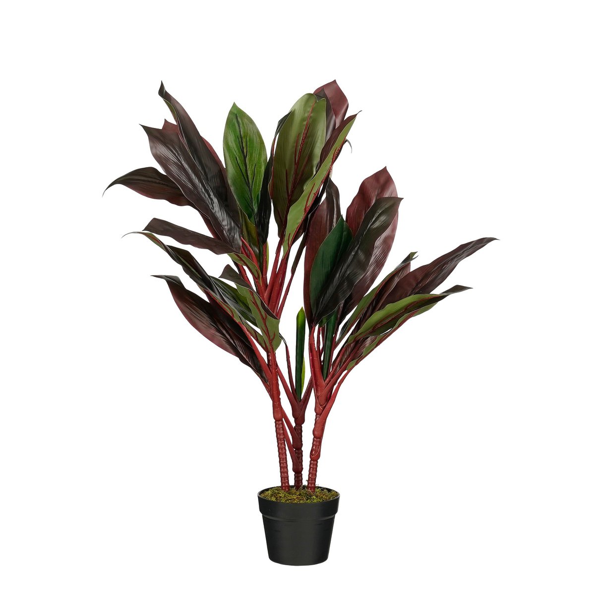 Künstliche Pflanze Cordyline Red