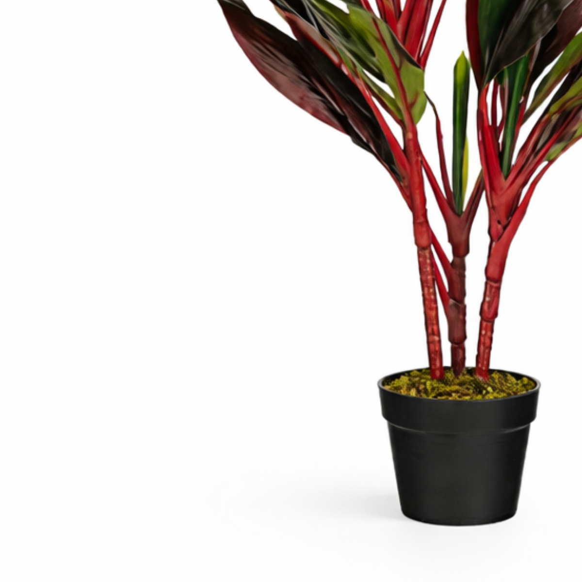 Künstliche Pflanze Cordyline Red