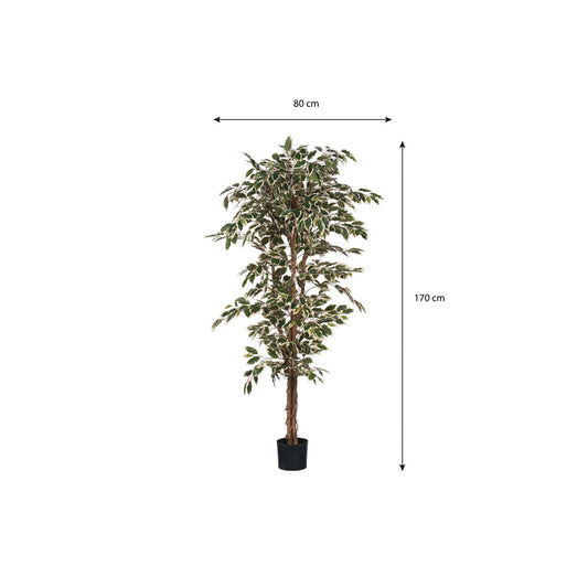 Künstliche Pflanze Ficus Green