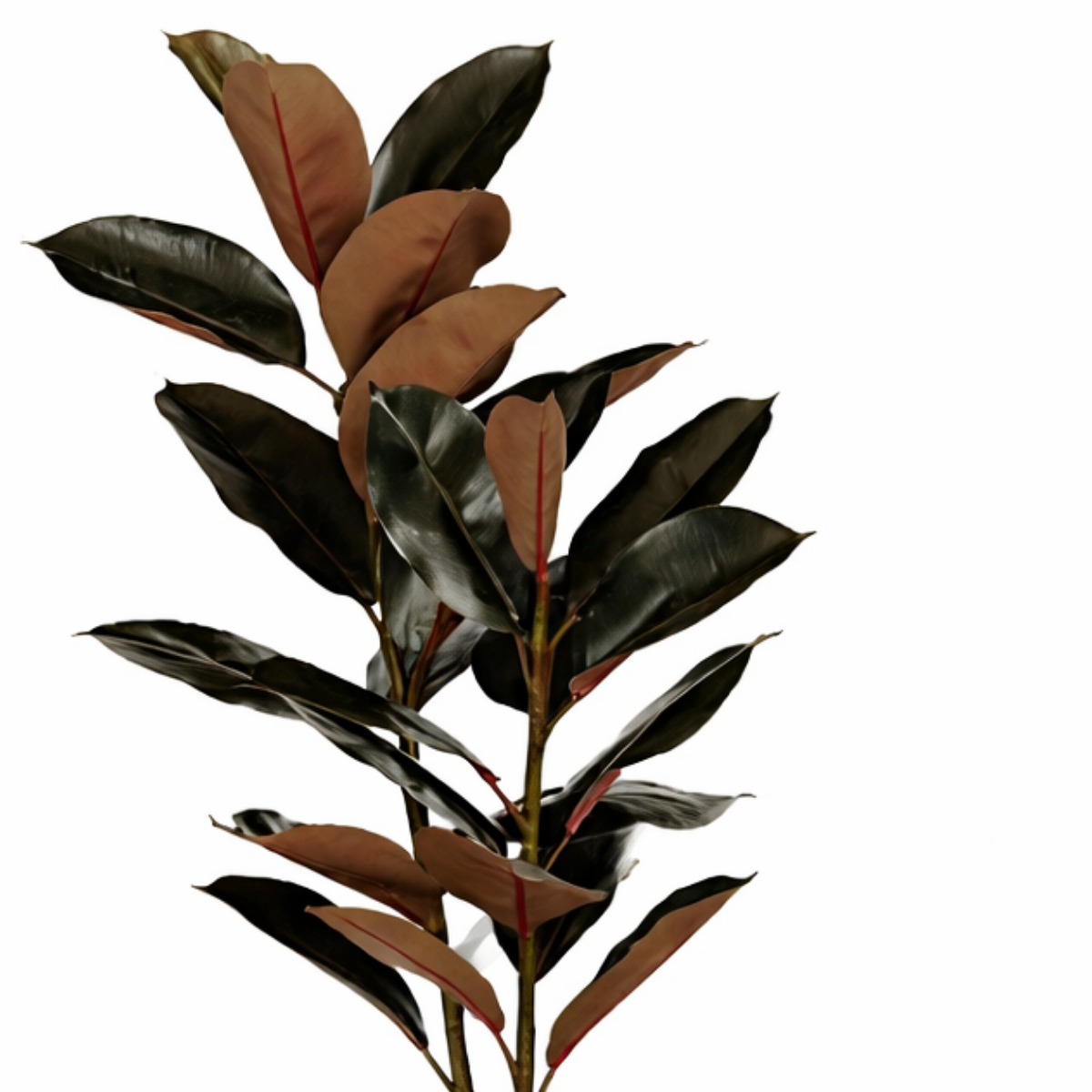 Künstliche Pflanze Gummipflanze Rot