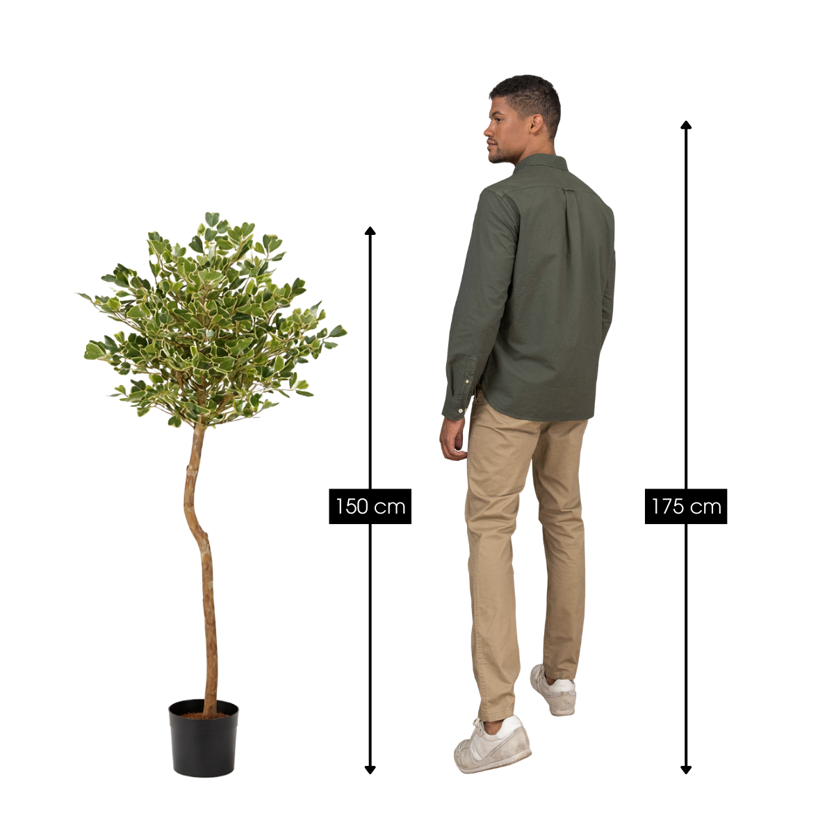 Künstliche Pflanze Ficus Green