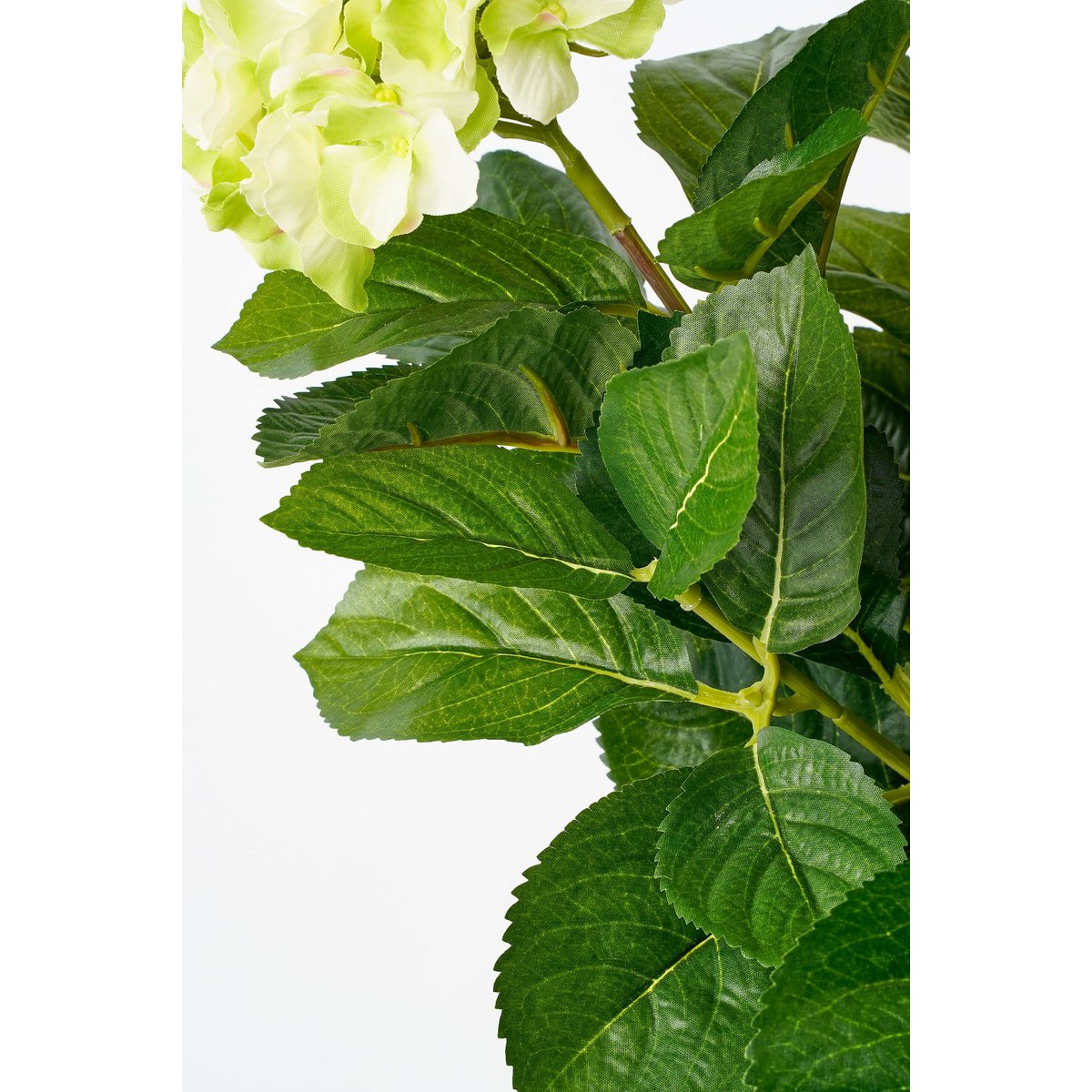 Kunstpflanze Hyddongea Creme