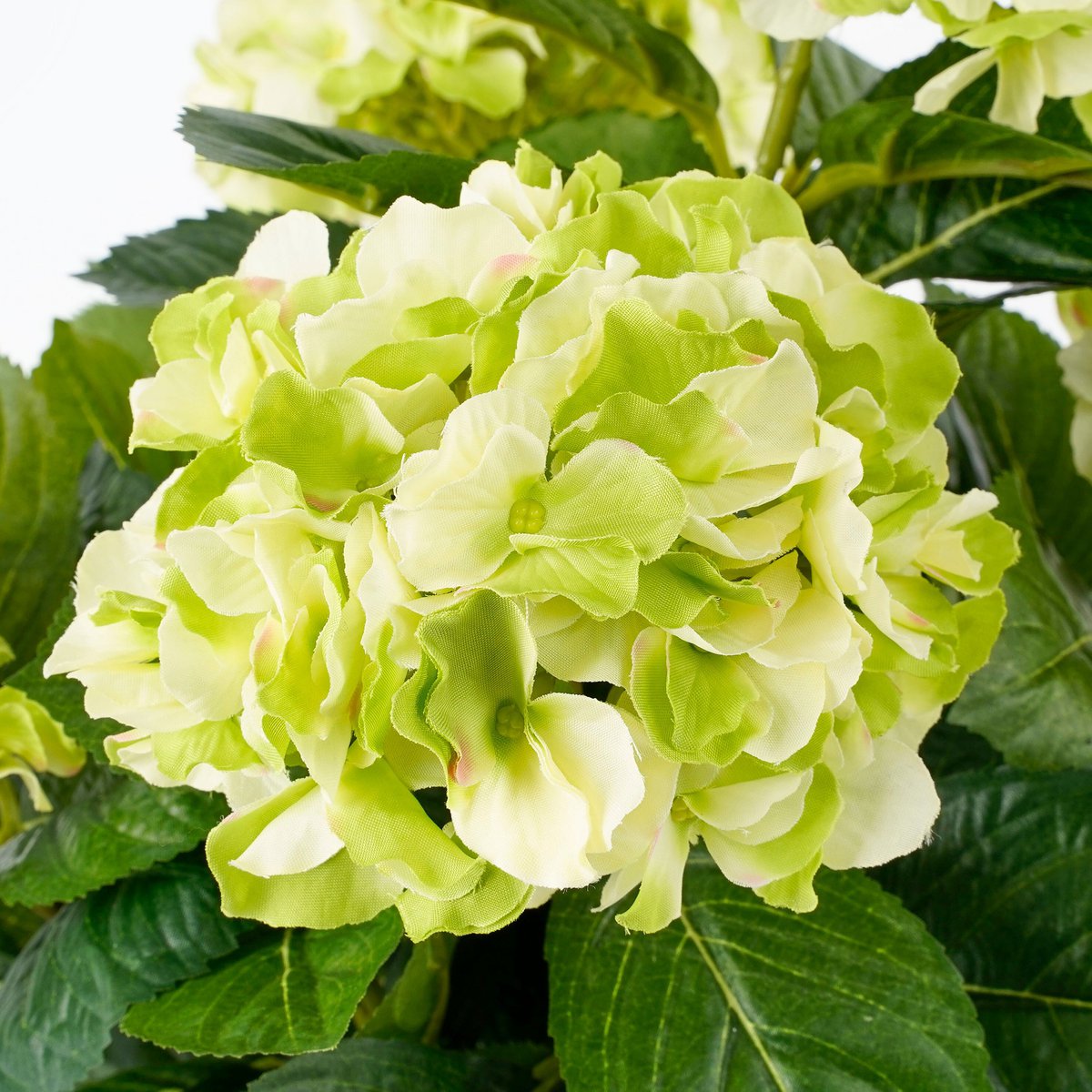 Kunstpflanze Hyddongea Creme