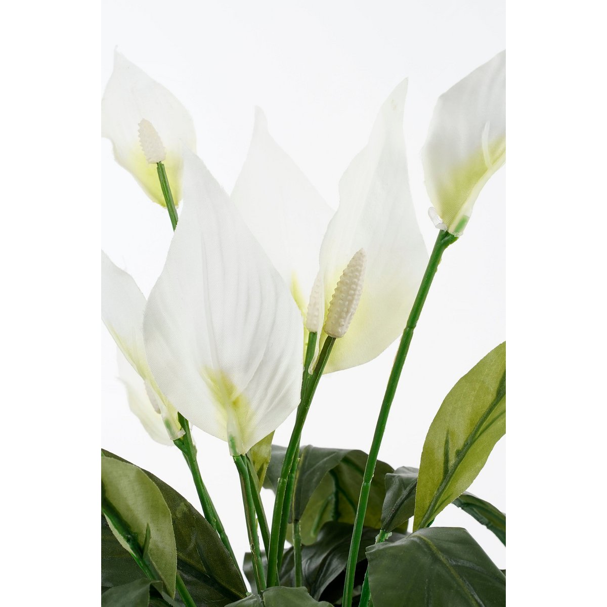 Künstliche Pflanze Spathiphyllum White