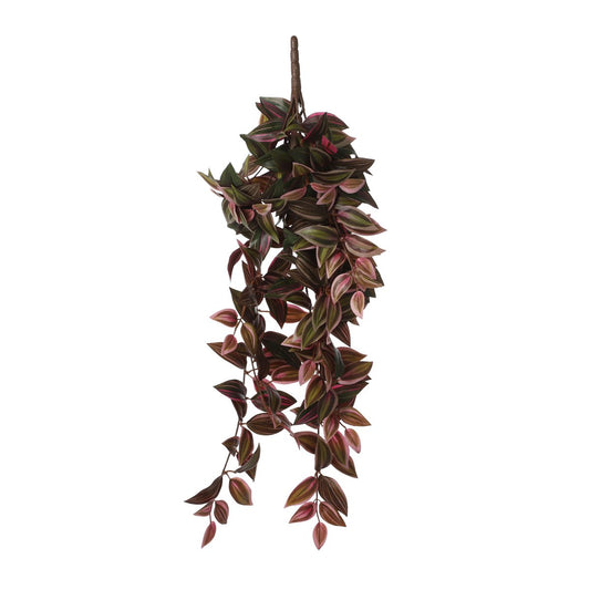 Künstliche Hängepflanze Tradescantia – L15 x B20 x H54 cm – Bordeaux