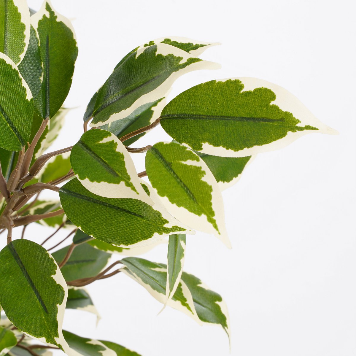 Künstliche Pflanze Ficus Natasja im Blumentopf Stan - H40 x Ø30 cm - Grün Bunt