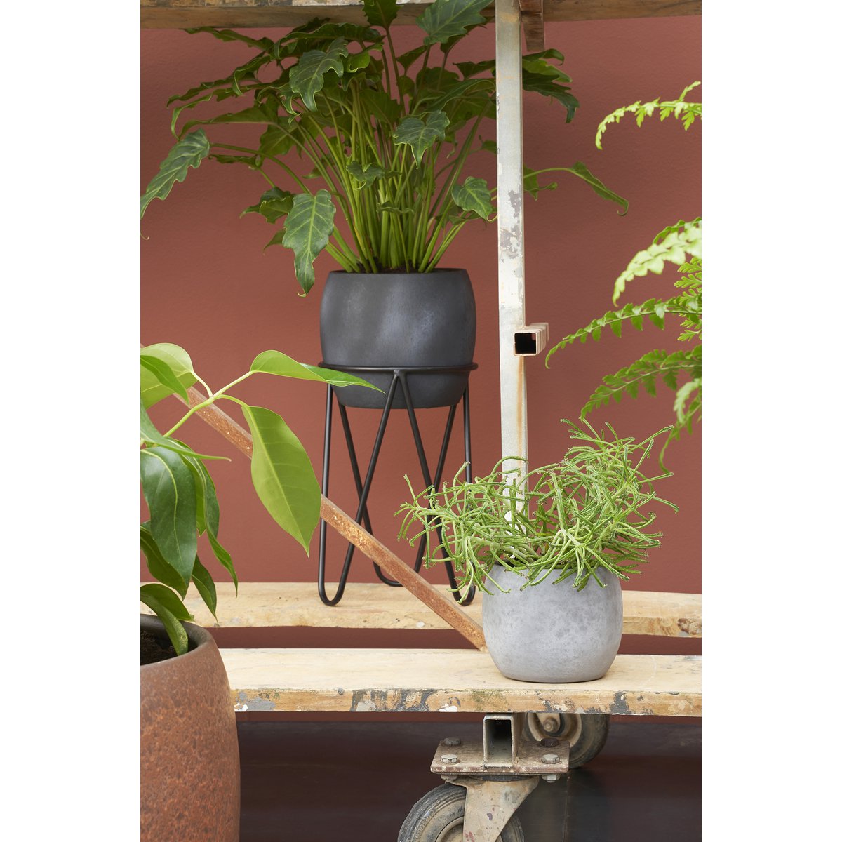 Pflanzenständer – H38,5 x Ø30 cm – Metall – Schwarz