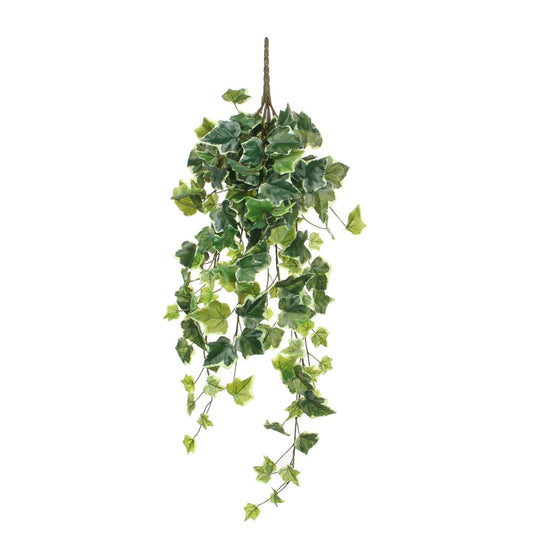 Hedera Künstliche Hängepflanze – H71 cm – Grün bunt