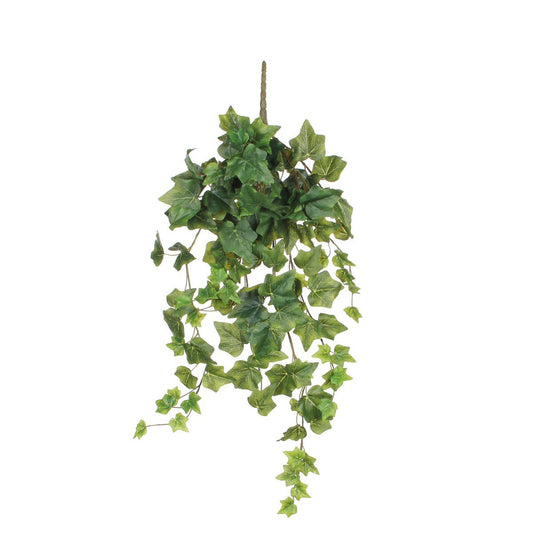 Hedera Künstliche Hängepflanze – H71 cm – Grün