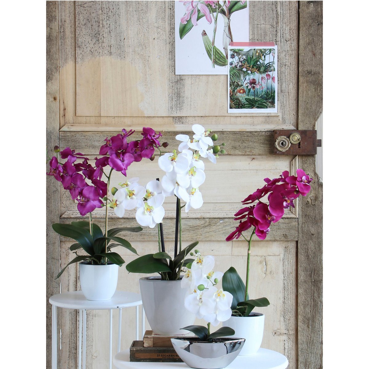 Künstliche Phalaenopsis-Pflanze im Blumentopf Tusca – H60 x Ø16 cm – Lila