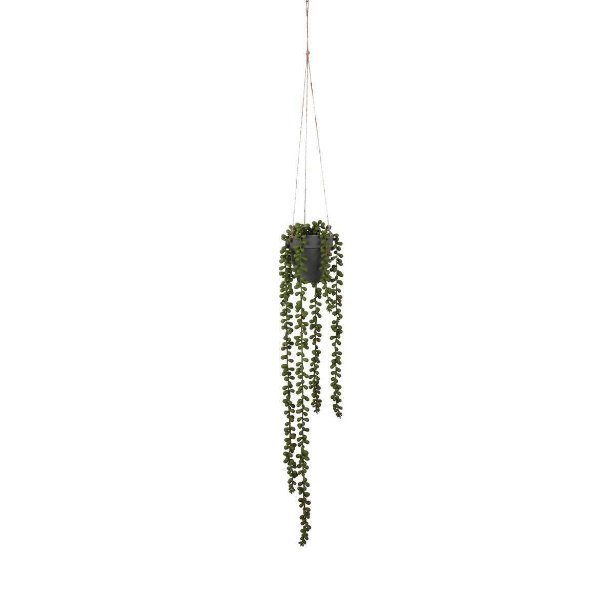 Senecio Künstliche Hängepflanze – H56 x Ø9 cm – Grün