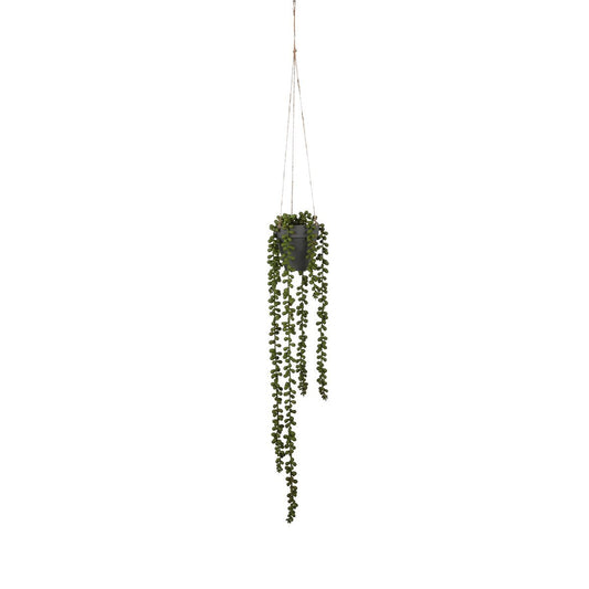 Senecio Künstliche Hängepflanze – H56 x Ø9 cm – Grün